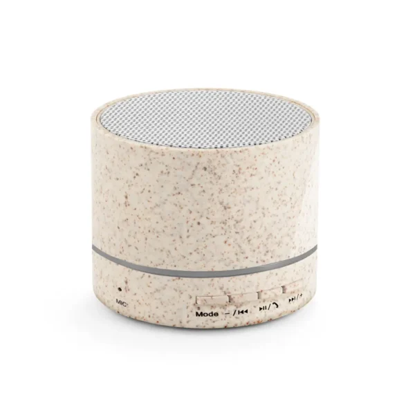 Caixa de som Personalizada - S97930